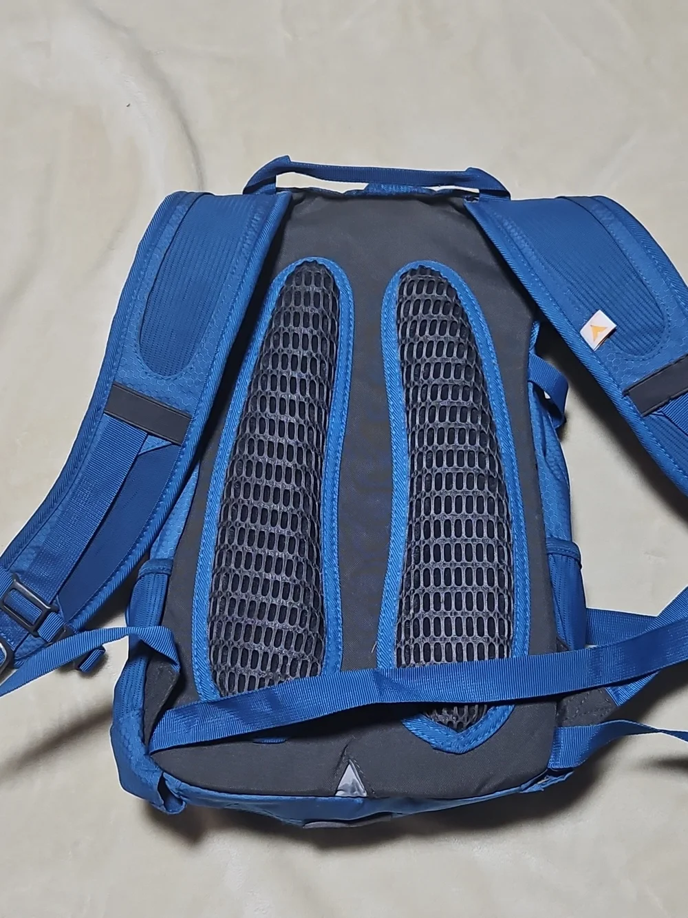 TETON Sports Men's Blue Hydration Backpack